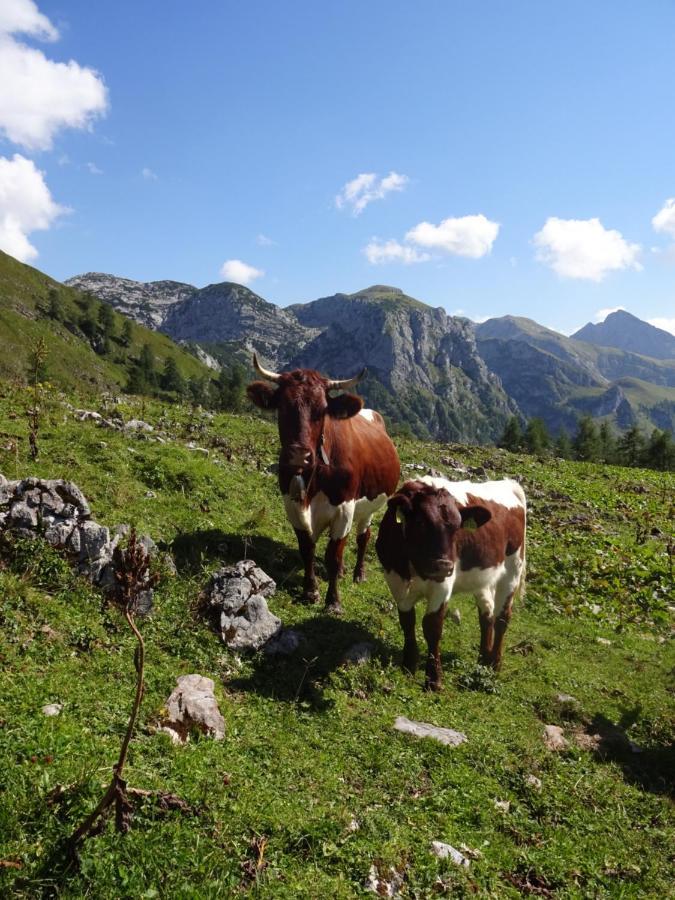 Апартаменти Malterlehen-Берхтесгаден Екстер'єр фото