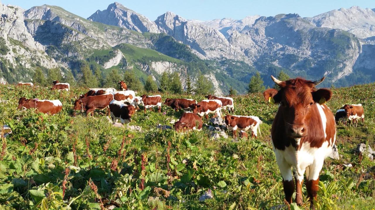 Апартаменти Malterlehen-Берхтесгаден Екстер'єр фото